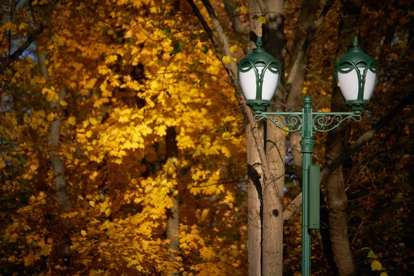 Lâmpada de rua no parque em um fundo de folhagem laranja de árvores, foco seletivo — Fotografia de Stock