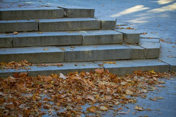 Marbre marches recouvertes de feuilles mortes orange, mise au point sélective — Photo