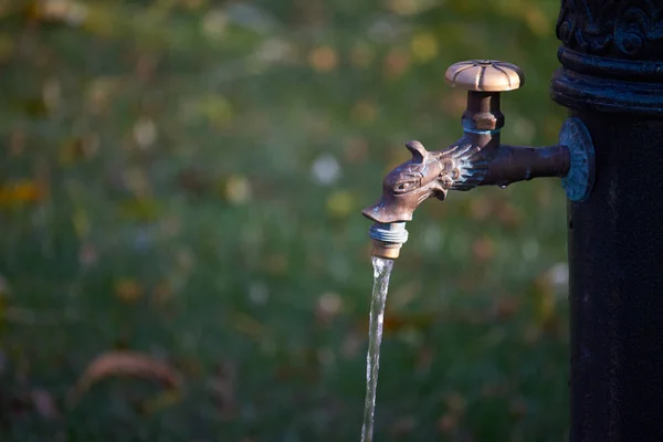 Sonbahar parkında içme suyu olan eski tarz bir sütunun yakın çekimi, seçici odaklanma