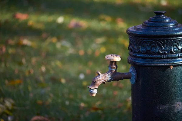 Nahaufnahme einer Säule alten Stils mit Trinkwasser im herbstlichen Park, selektiver Fokus — Stockfoto