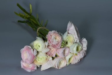 Bahar çiçeği buketi. Pembe ve beyaz ranunculus çiçekleri gri arka planda izole edilmiş. Güzel düğün çiçeği buketi.