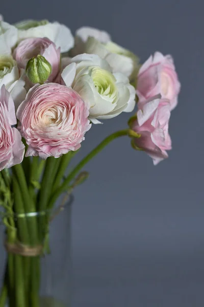 Frühlingsblumen Strauß. Rosa und weiße Hahnenfußblüten vereinzelt auf grauem Hintergrund. Schöner Butterblumenstrauß. — Stockfoto