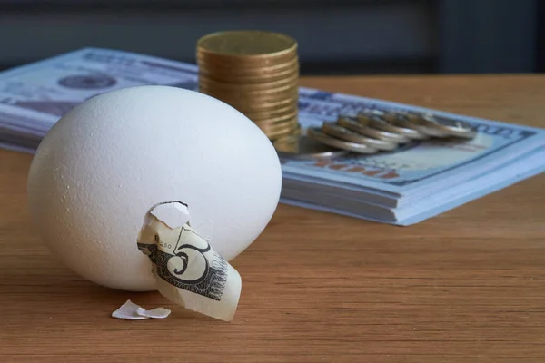 Five dollar bill hatching from egg and a stack of hundred dollar bills and coins on natural background, selective focus