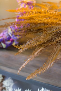 Modern iç mekan, kurumuş çiçek vazoları, kurumuş çiçekler, seçici odak noktaları.