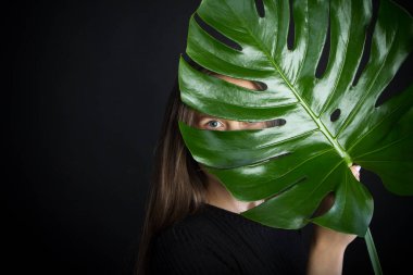 Uzun saçlı güzel esmer kız siyah arka plandaki canavar yaprağına bakıyor, seçici odaklı.