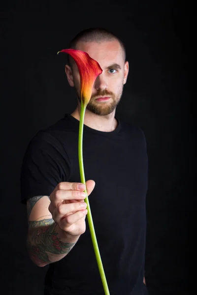 Portrait of young man holding single red calla flower on black backdrop, greeting card or concept
