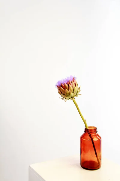 Single artichoke flower in brown glass vase on white backdrop, greeting card concept, selective focus — Stock Photo, Image