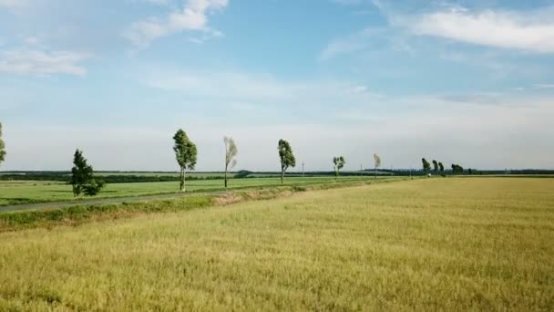 Volo sopra la strada con una macchina — Video Stock