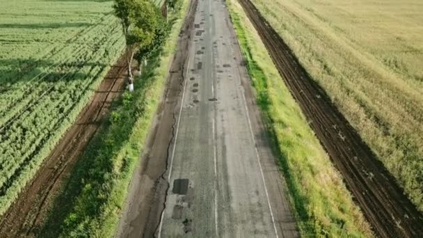 Vlucht over de weg met een auto — Stockvideo