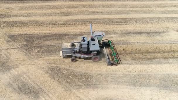 Oude harvester plukt tarwe. Luchtfoto — Stockvideo