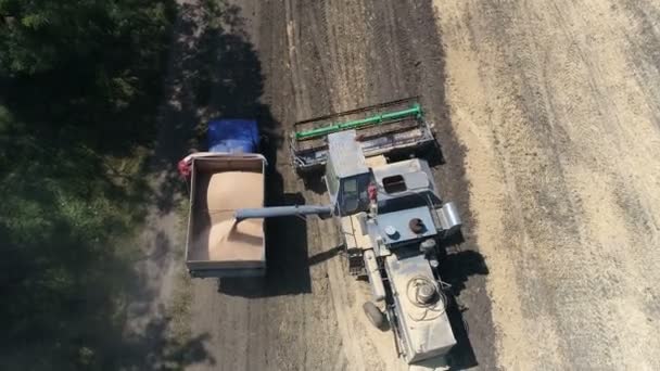 Harvester verwijderd graan. Luchtfoto video — Stockvideo