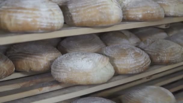 Čerstvě pečený chléb v pekárně — Stock video