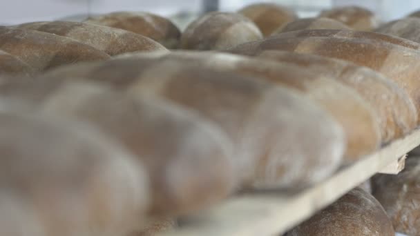 Pan recién horneado en la panadería — Vídeos de Stock