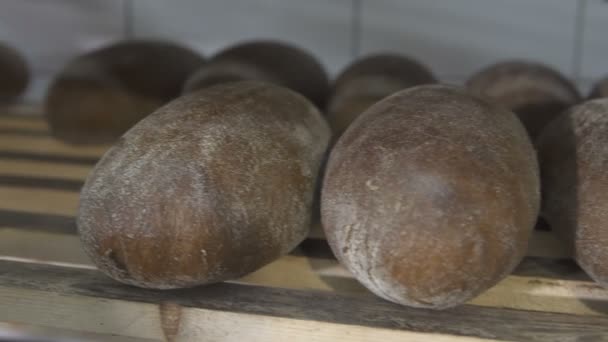 Čerstvě pečený chléb v pekárně — Stock video
