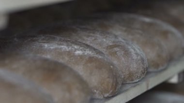Taze ekmek ekmek