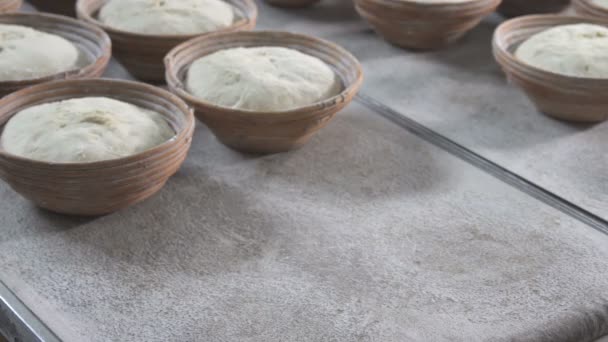 Het proces van het bakken van brood in de bakkerij — Stockvideo