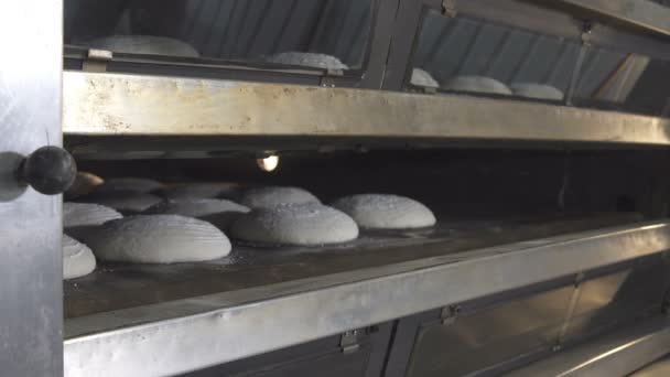 El proceso de hornear pan en la panadería — Vídeos de Stock