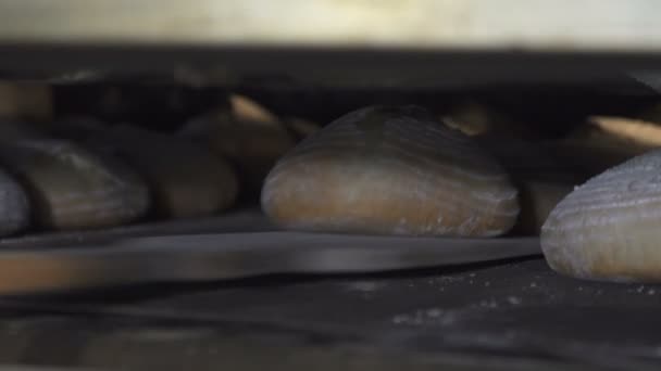 Den Prozess Des Brotbackens Der Bäckerei Produktionslinie — Stockvideo