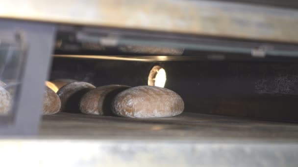 Het proces van het bakken van brood in de bakkerij — Stockvideo