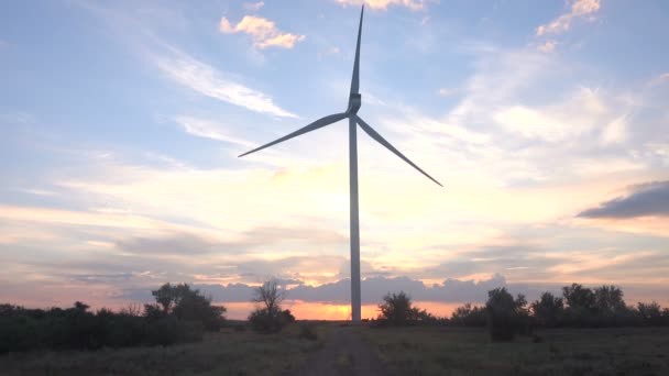 Central eólica al atardecer — Vídeos de Stock