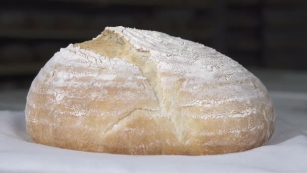Vers gebakken brood bij de bakker — Stockvideo