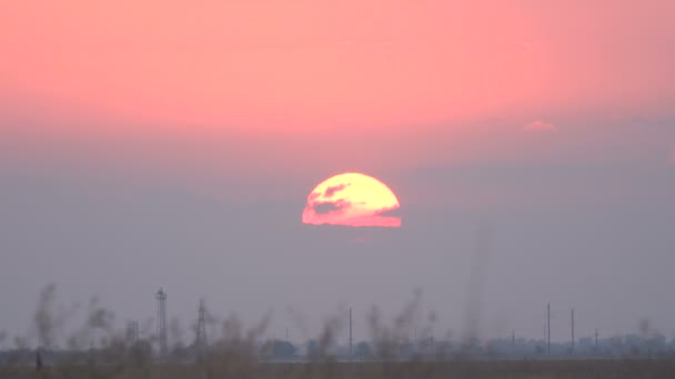 Krásný západ slunce na louce — Stock video