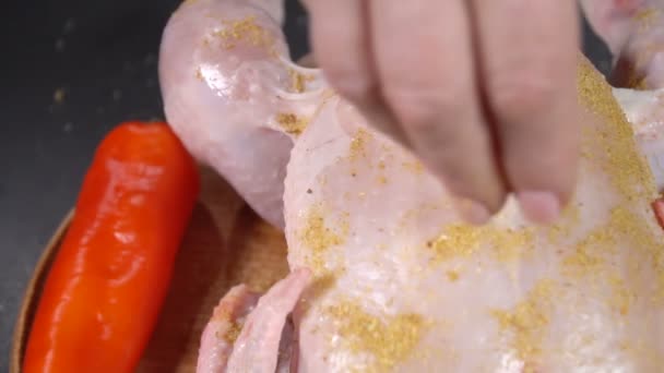 Cook ψεκάζει κοτόπουλο με μπαχαρικά. αργή κίνηση — Αρχείο Βίντεο