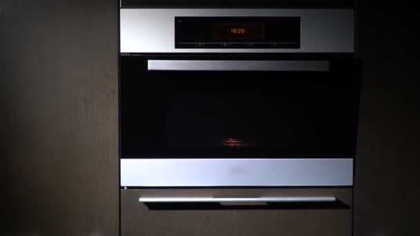 Open the door of the electric oven. slow motion — Stock Video