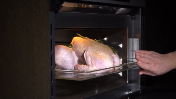 Pon el pollo a la parrilla en el horno. cámara lenta — Vídeos de Stock