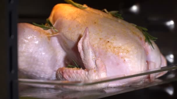 Pon el pollo a la parrilla en el horno. cámara lenta — Vídeos de Stock