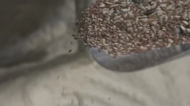 Tohum karışımı hamur ekleyin. ağır çekim