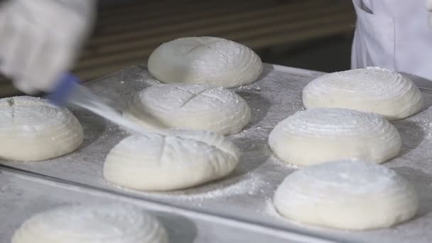 Panettiere taglia la pasta del pane — Video Stock