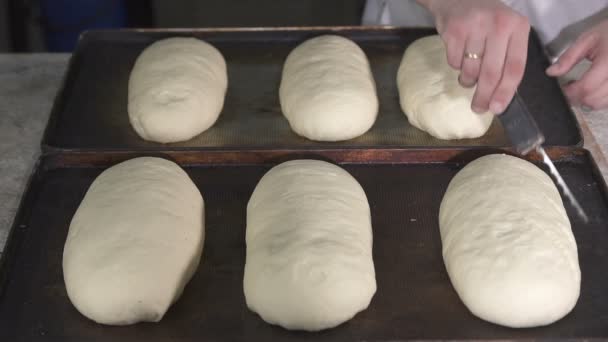 Baker περικοπές ζύμη ψωμιού. αργή κίνηση — Αρχείο Βίντεο