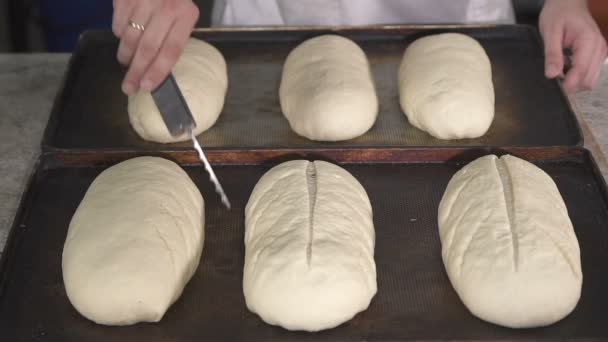 Baker corta a massa de pão. câmara lenta — Vídeo de Stock