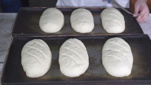 Baker cuts bread dough. slow motion — Stock Video