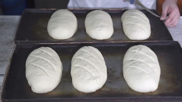 Baker coupe la pâte à pain. au ralenti — Video