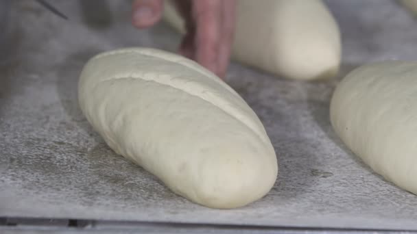Baker corta masa de pan. cámara lenta — Vídeos de Stock