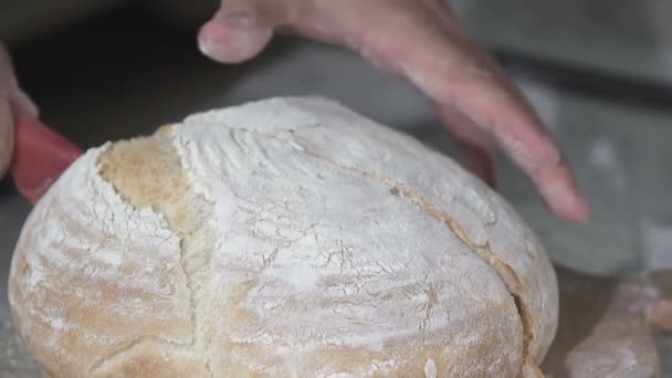 Бейкер режет горячий свежий хлеб. замедленное движение — стоковое видео