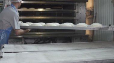 Fırıncılar Ekmek hamuru fırına yükleyin. ağır çekim