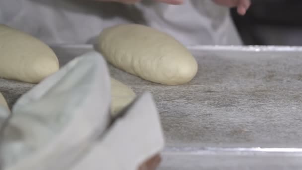 Baker makes bread dough. slow motion — Stock Video