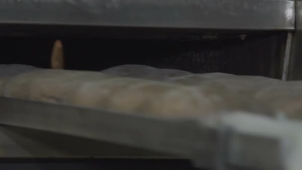 Пекари загружают тесто в духовку — стоковое видео
