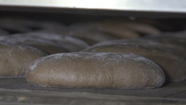 Brood wordt gebakken in de oven. tijd ronden — Stockvideo
