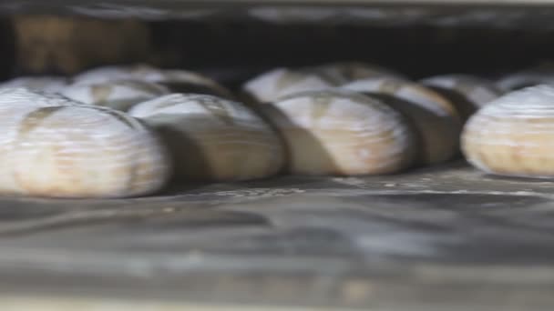 Brot wird im Ofen gebacken — Stockvideo