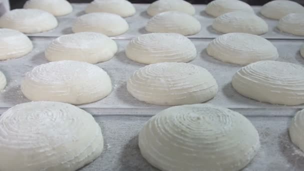 Ready dough for baking bread. slow motion — Stock Video