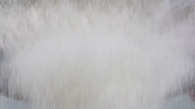 Buğday unu bir elekten elemek. ağır çekim