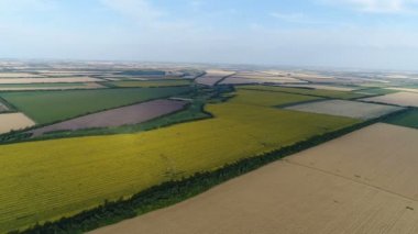 Tarım alanlarının üzerinde uçuyorlar