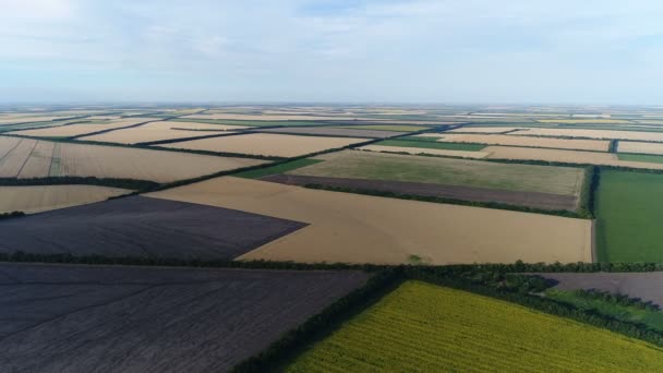 Vliegen over landbouwgronden — Stockvideo