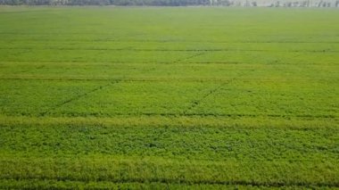 Uçan yeşil alanın üzerinde. Hava