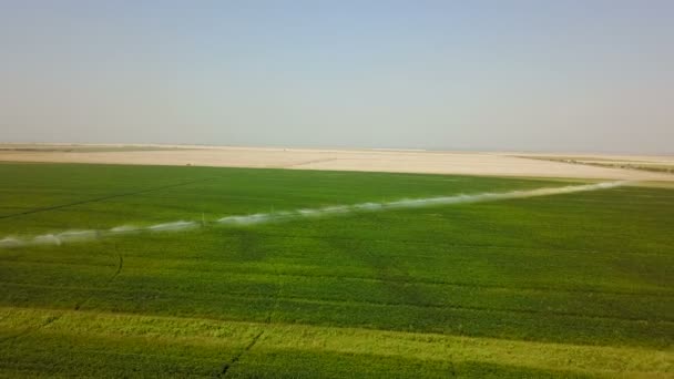 Système d'irrigation des champs. Aérien — Video