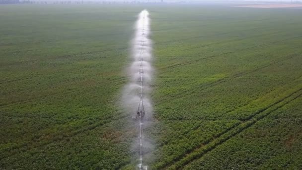 Irrigation system of fields. Aerial — Stock Video